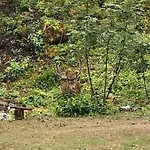 Hillfront 60 Διαμέρισμα