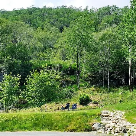 Daire Hillfront 60 *